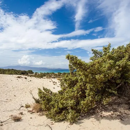 Alyko * Aliko Beach